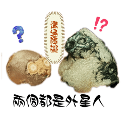 我的石頭會說話