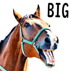敬語で競馬【BIG】
