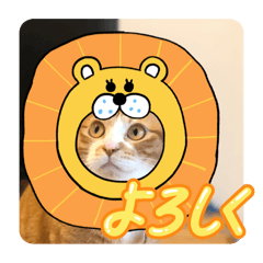 Makoto_20250617193807