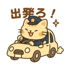 貓貓司機已上線