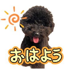 koko_20250617084126