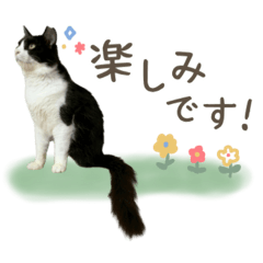 mama*_20250617103527