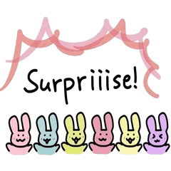The traveling rabbit English Edition
