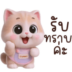 เดซี่:เเมวน่ารัก