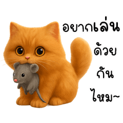 เหมียวอ้อนเกินต้าน