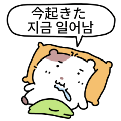 Red beans Hamster (KR/JP)
