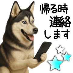 Siberian Husky Family Communication