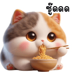 แมว จอมกวน ❤️❤️ ป่วนทุกวัน 5
