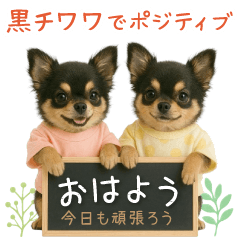 ポジティブな気持ちを伝える☆黒チワワ