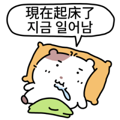 Red beans Hamster (KR/TW)