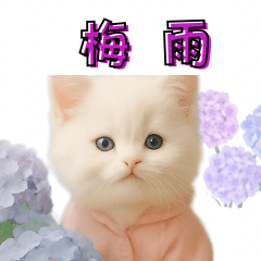 Rainy Days with Milk and Shiro