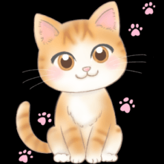 ねこのきもち❤️茶トラ