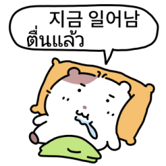 Red beans Hamster (KR/TH)