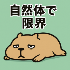 Capybara Capybara Stickers@SFW