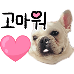 コタロースタンプ　皆さんで気軽に使って