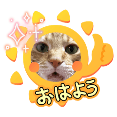 ハルです(オス)