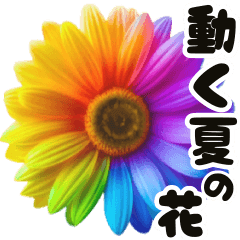 Rainbow-colored summer flowers