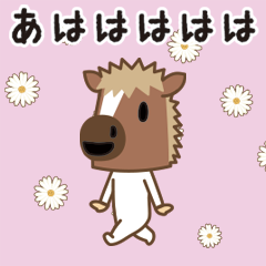 Lively foal