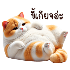 แก๊งเหมียวคาวาอี้ตุ้ยนุ้ย V.6