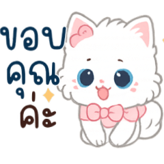 โมจิ:เเมวน่ารักใช้ได้ทุกวัน