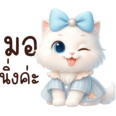 ซันนี่:เเมวน่ารัก