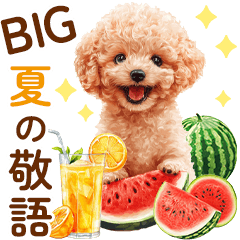 BIG Toy Poodle Summer Sticker!