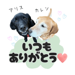 アリカレ姉妹
