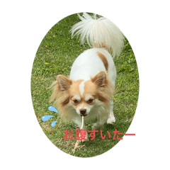 RAIKOMARYU
