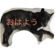 uchi no reo