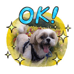 別バージョン　くぅ様