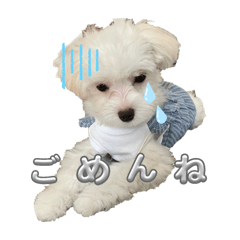 ゃまさにまめら