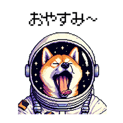 宇宙飛行士 柴犬 健康体形で旅をする