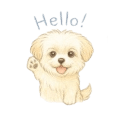 Peki-Poo-Moca's greeting in English!