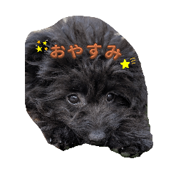 JUNON_20250618214013