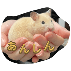 Kinkuma's Hina-chan stamp