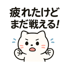 panda_20250619163648