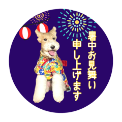 ワイヤーフォックステリアの夏の思い出②