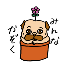 pug family