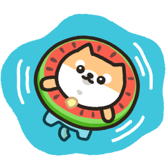 柴犬たけちよの夏休み