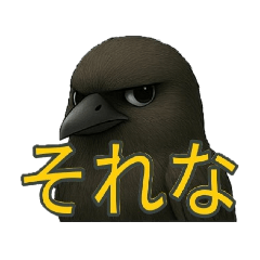 natsumi_20250619132422