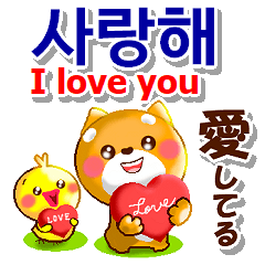 Korean , Japanese, English. Contact