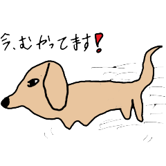 omochi_20250619172945