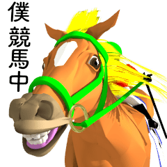 駆ける３D ！ボク競馬中2