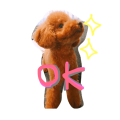 ru_1