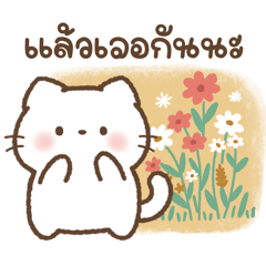 เหมียวขาวน่ารัก “ลิลิ” (บิ๊ก)