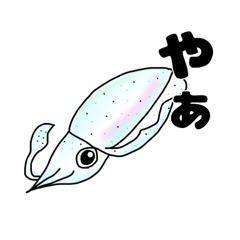 ちょっとうざいアオリイカ