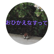 suzumetobus