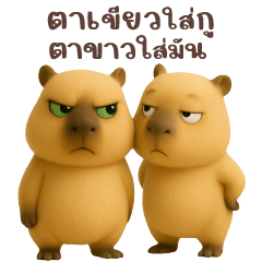 เจ้าคาปิบารา -แชทจิกกัด