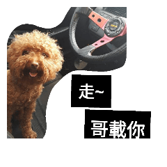陳嚕比.