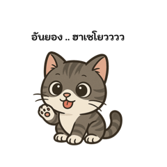 Kaopan_20250620223004